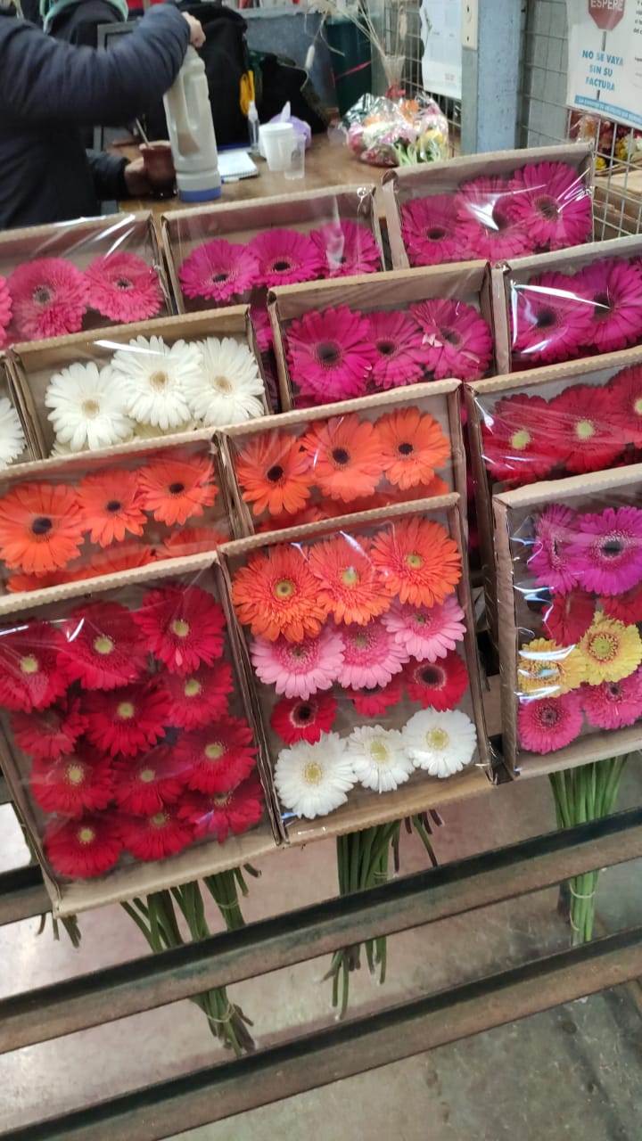 Primer plano de un arreglo de flores rosa y violeta